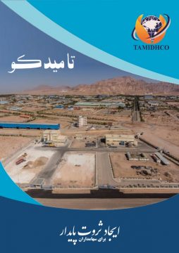 معرفی مختصر تامیدکو