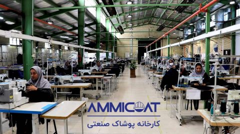 بازدید مدیران ارشد تامیدکو از مجتمع صنعتی کرمان شرکت ارزش‌آفرین (1)
